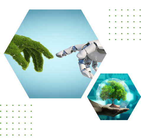 roshgroupofcompanies.com