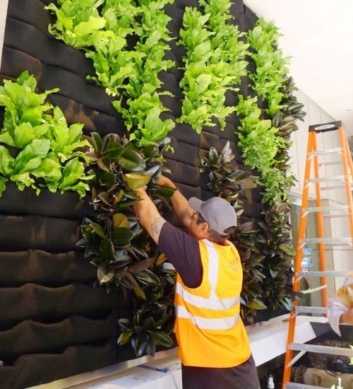 roshgroupofcompanies.com